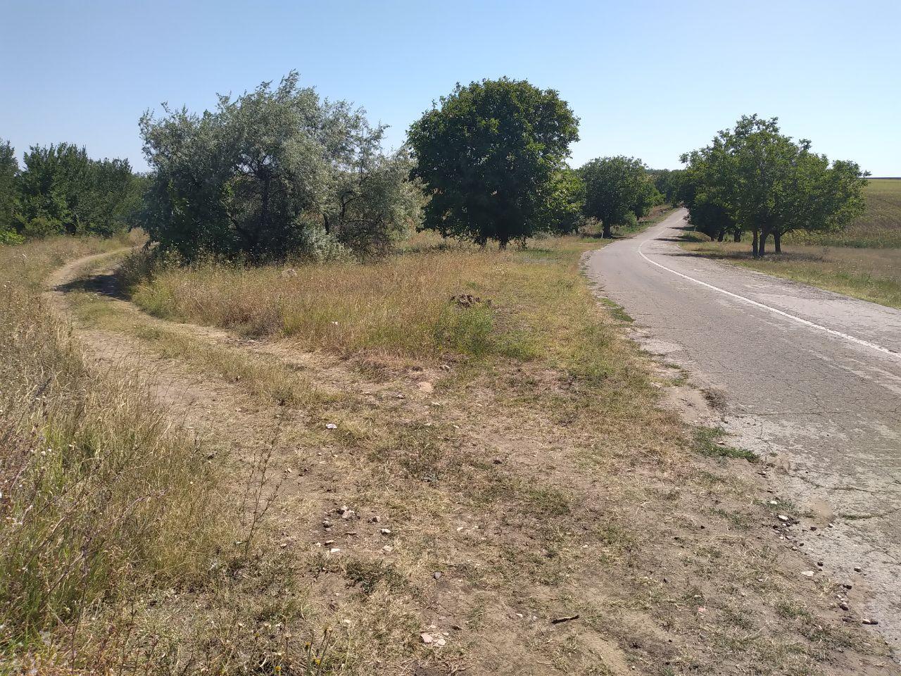 Буджак. Село Копчак Гагаузия. Молдавия Буджакская степь. Село Буджак Гагаузия. Буджакская степь Гагаузия.