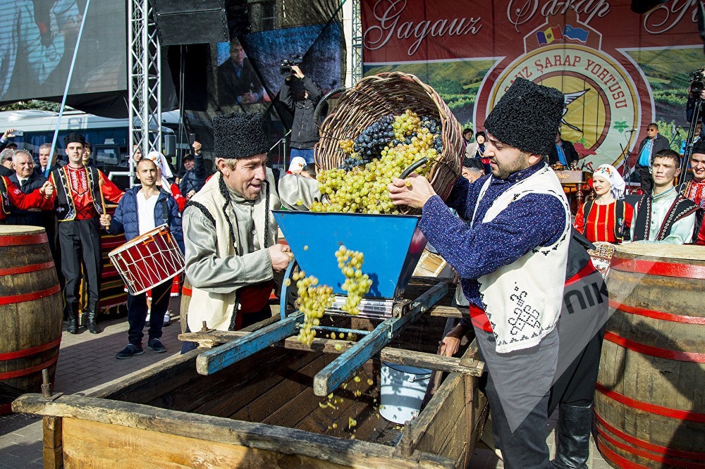 Международный день вина картинки