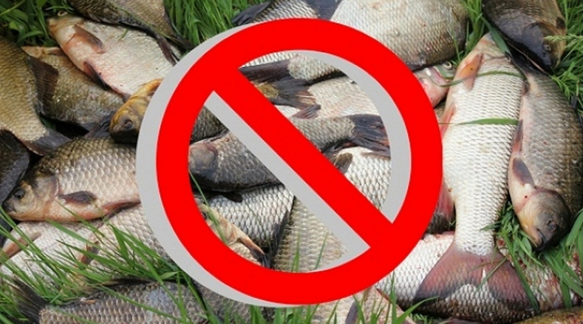 Запрет рыболовства